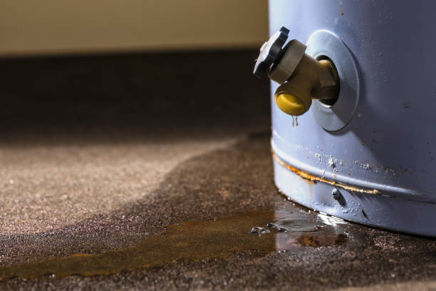 Best Mold removal after water damage  in East Hazel Crest, IL