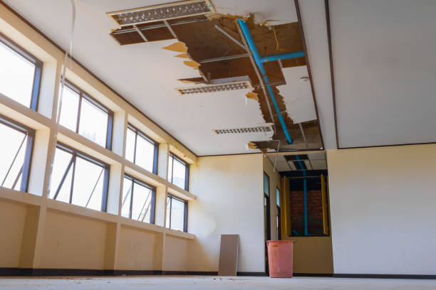 Best Local water damage restoration  in East Hazel Crest, IL