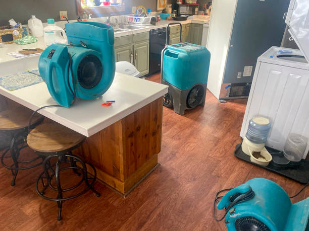 Best 24/7 water damage repair  in East Hazel Crest, IL