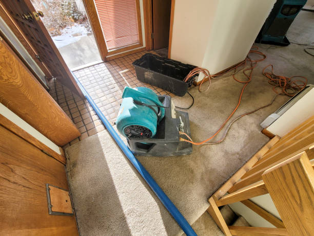 Best Emergency water damage restoration  in East Hazel Crest, IL