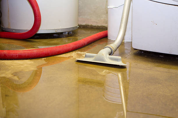 Best Water damage cleanup near me  in East Hazel Crest, IL