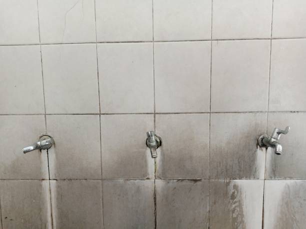 Trusted East Hazel Crest, IL Water damage restoration Experts