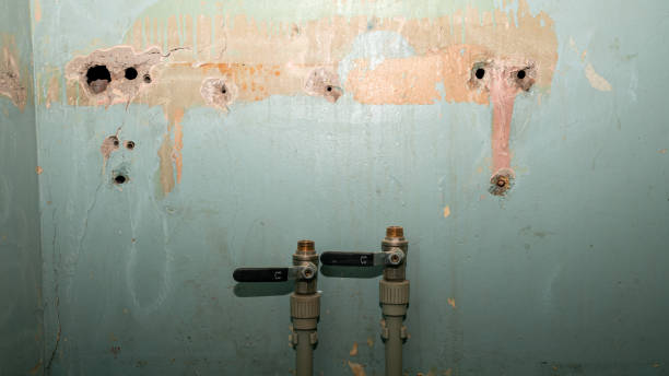 Best 24-hour water damage restoration  in East Hazel Crest, IL