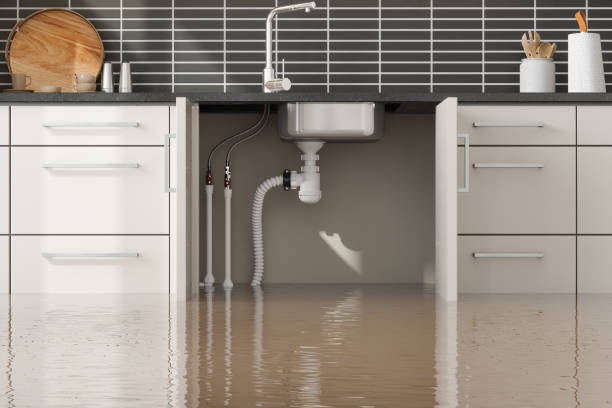 Sewage cleanup and water damage restoration in East Hazel Crest, IL