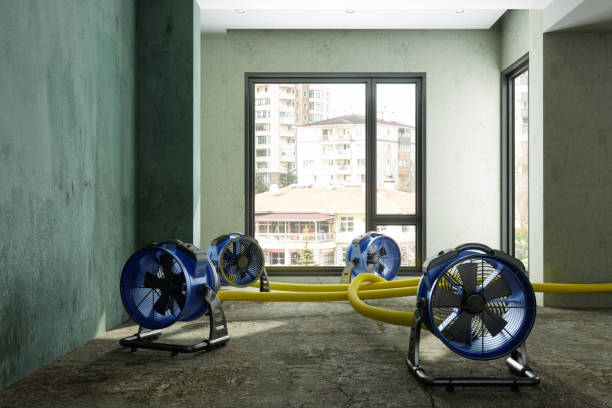  East Hazel Crest, IL Water damage restoration Pros